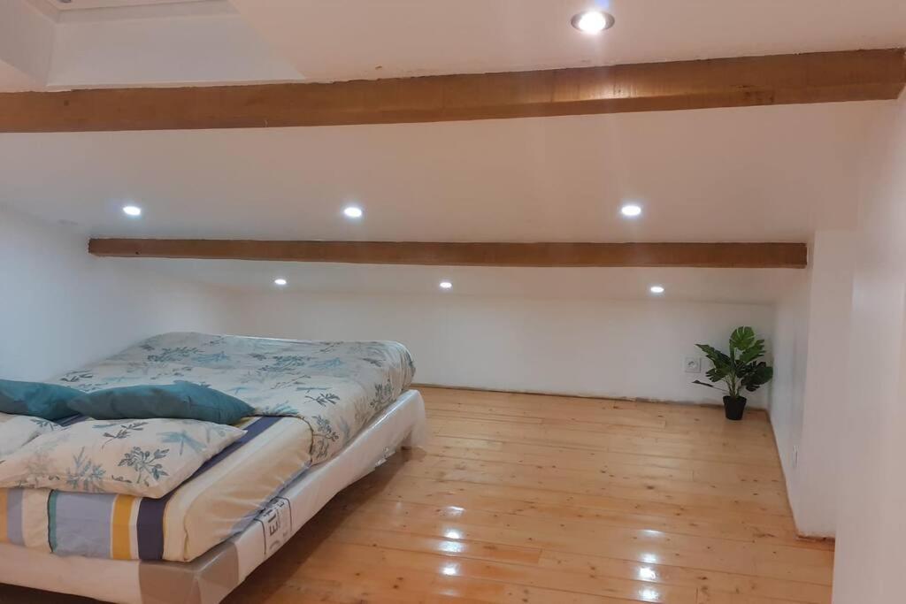 Appartement La Joie Dans Quartier Chic Pibrac Luaran gambar